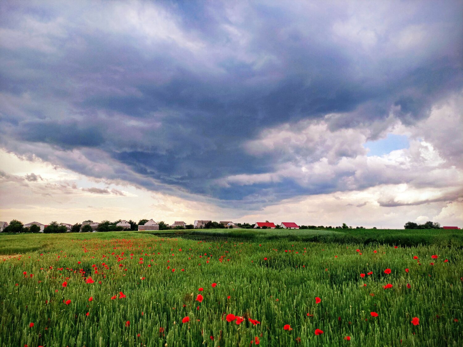 Before the storm