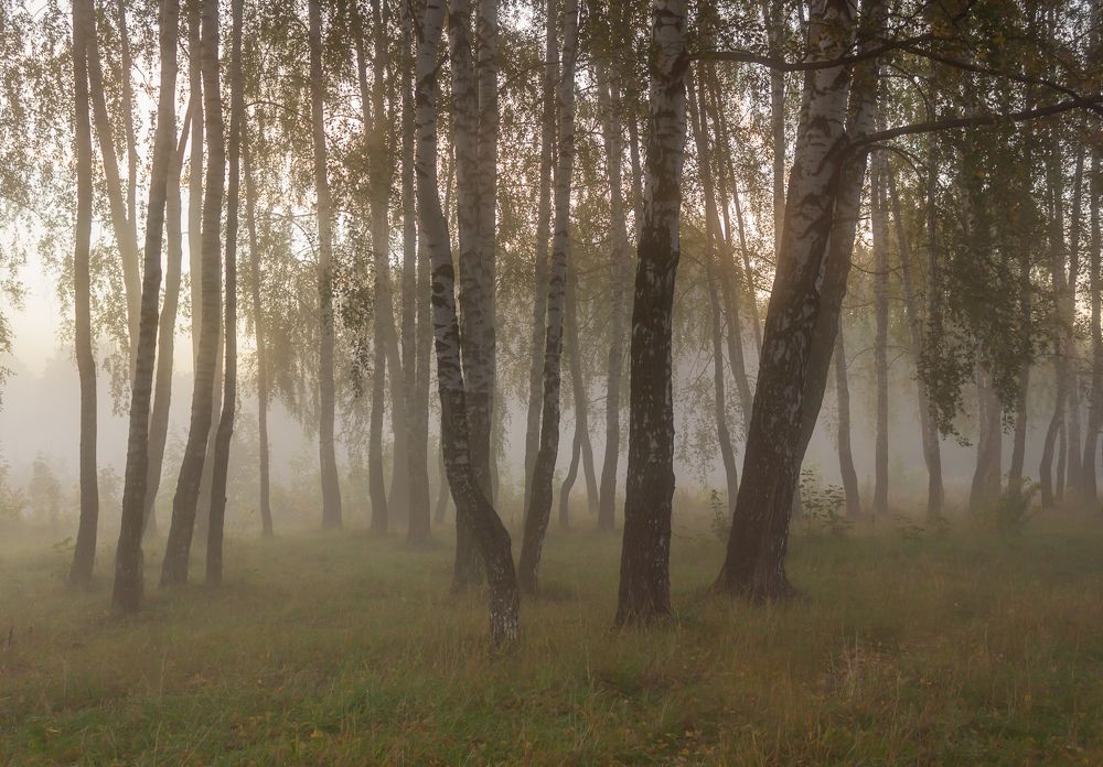 Фотография автора Ольга Бонина