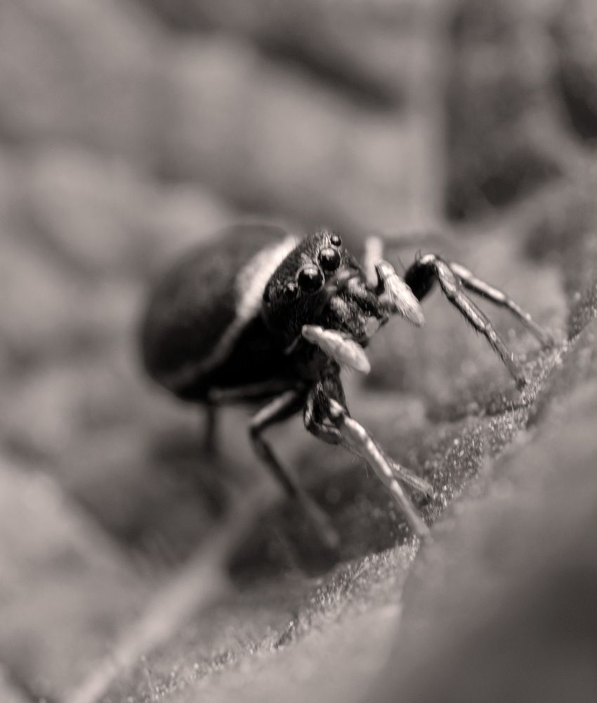 Photograph by Павел Хайрутдинов