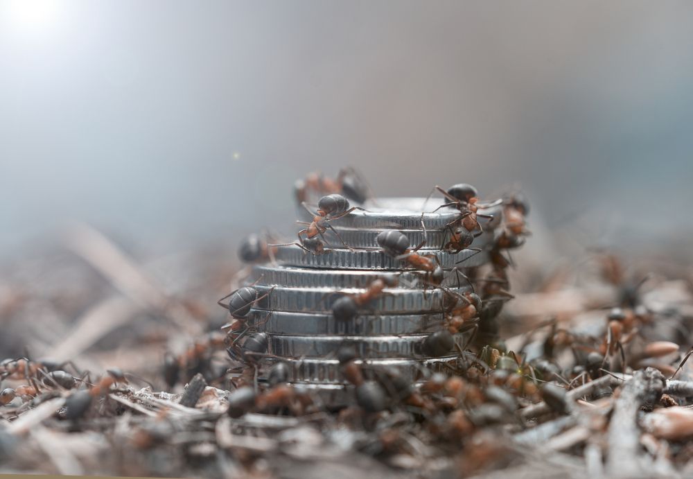 Photograph by Александр Тумко