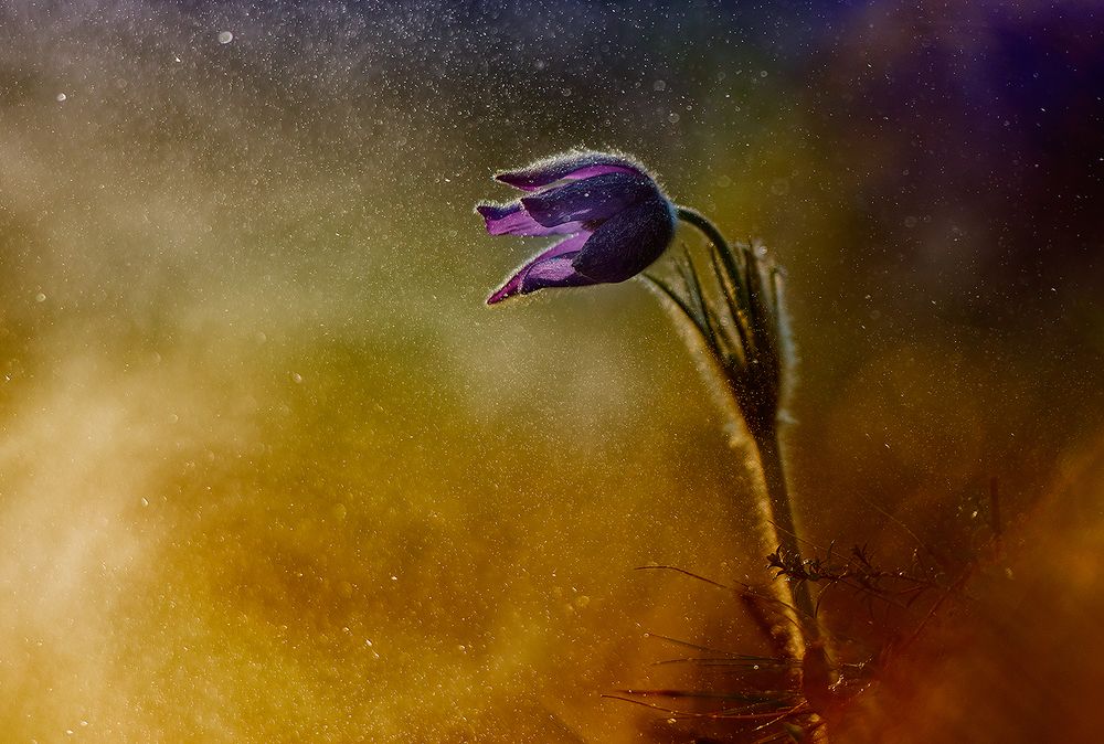 Photograph by Dariusz Dryl