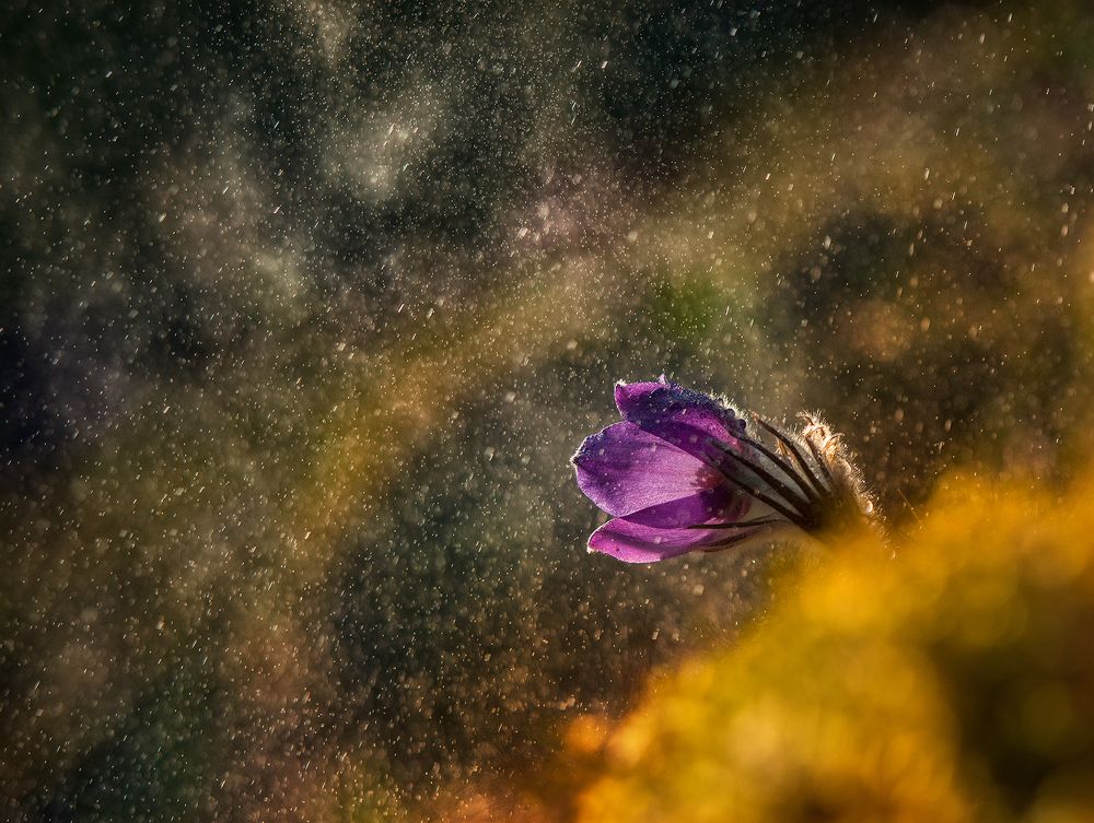 Photograph by Dariusz Dryl