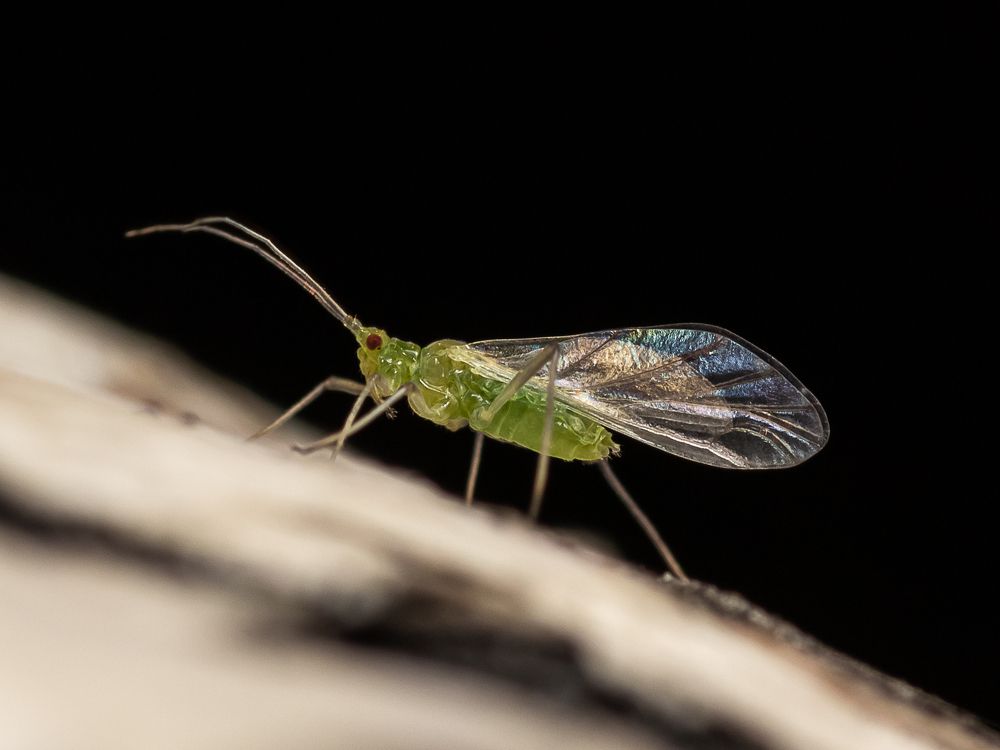 Photograph by Роман