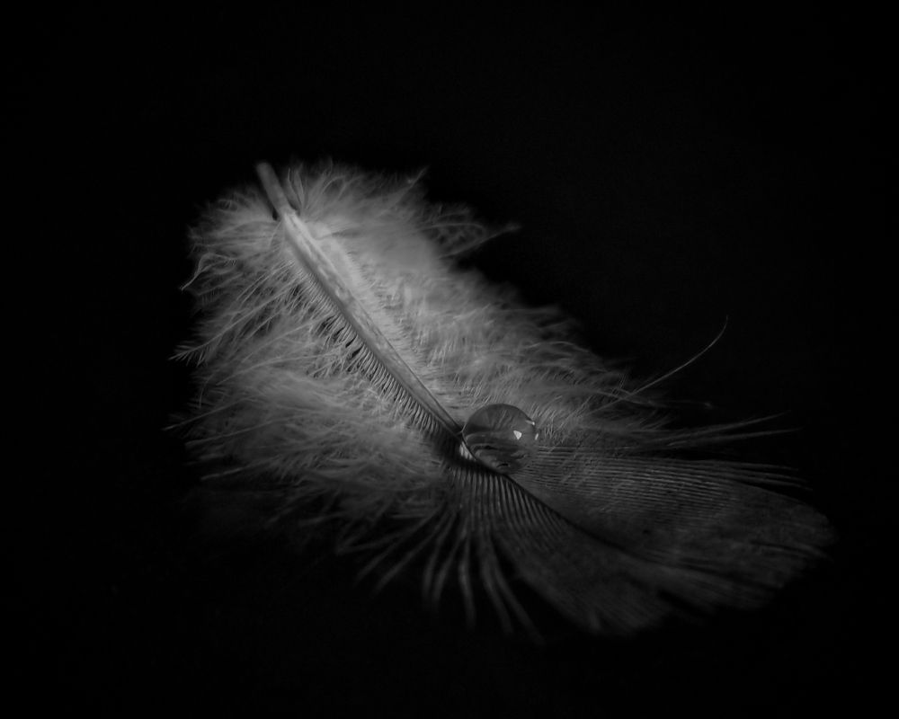 Путешественница...