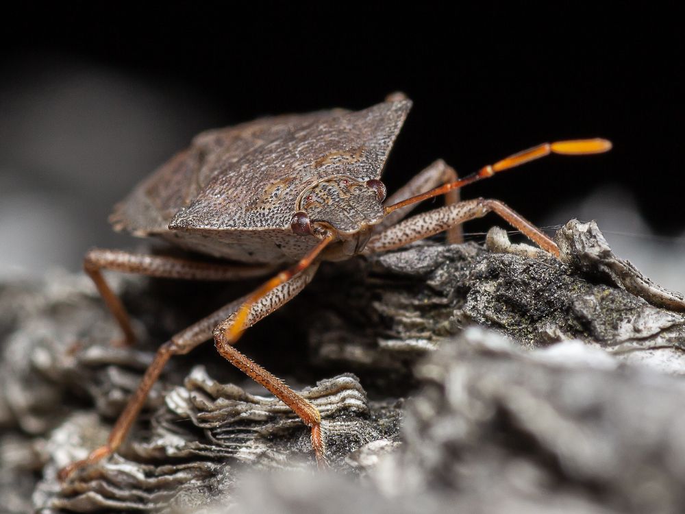 Photograph by Роман