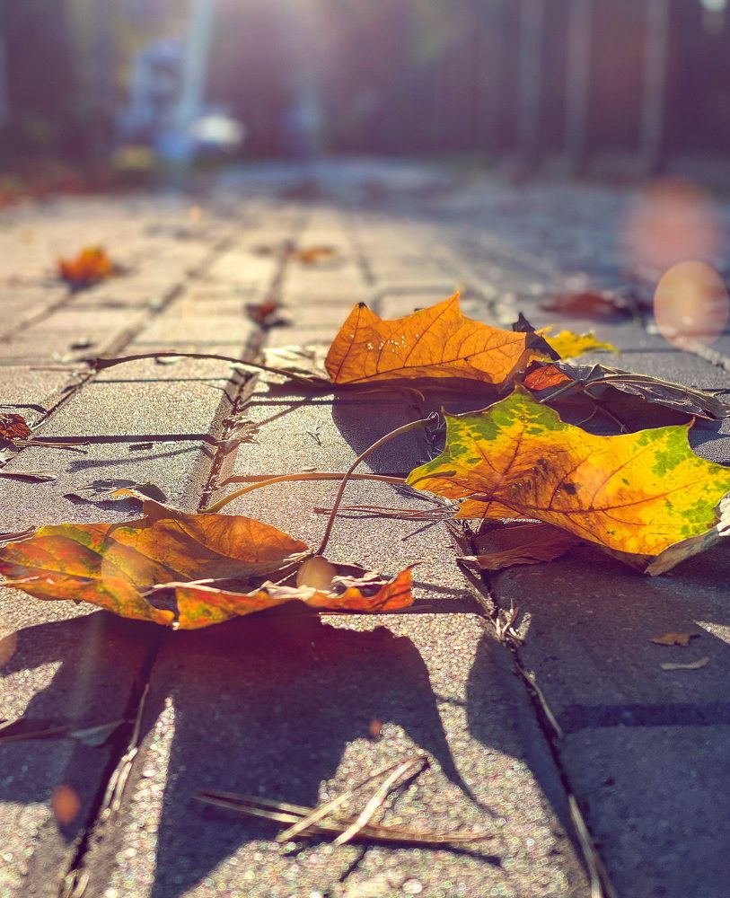 Photograph by Marina Svjatenko