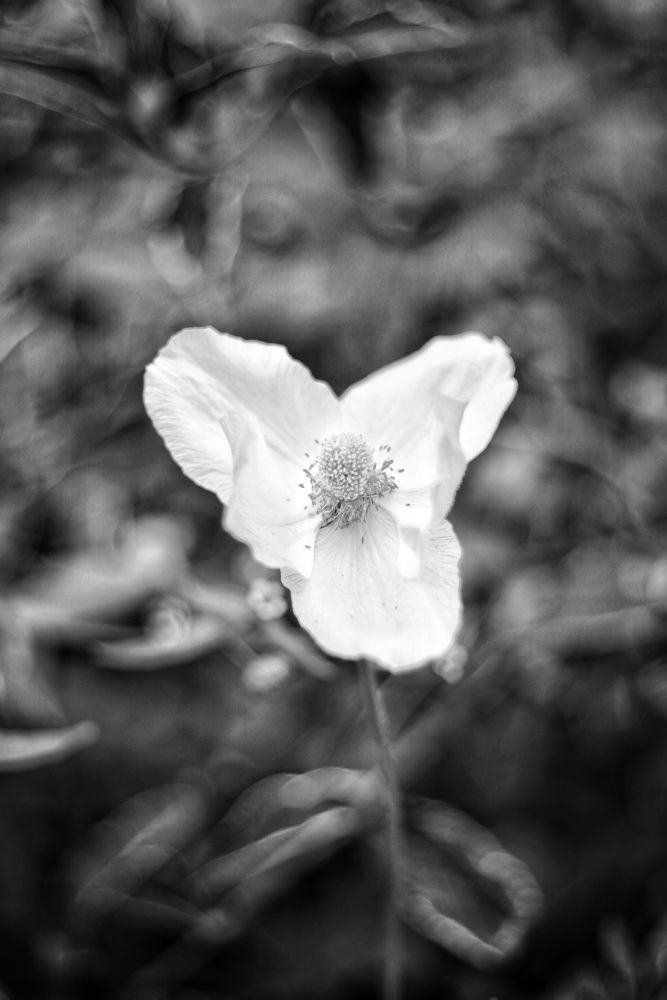 Photograph by Игорь Маслов