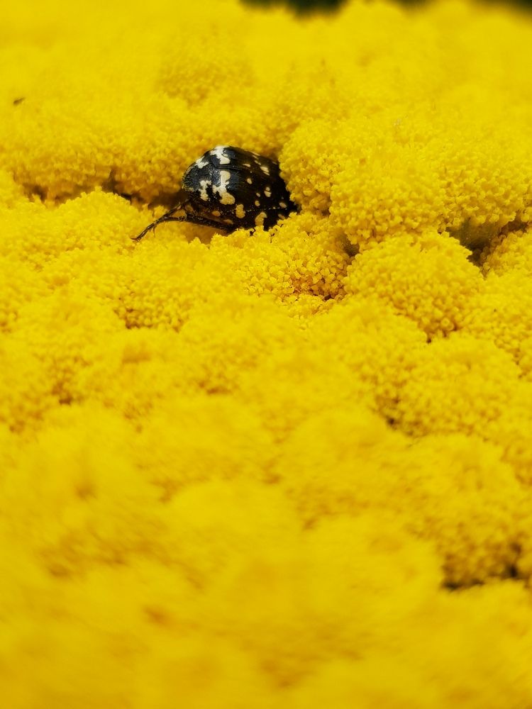 Photograph by Наталья Ким