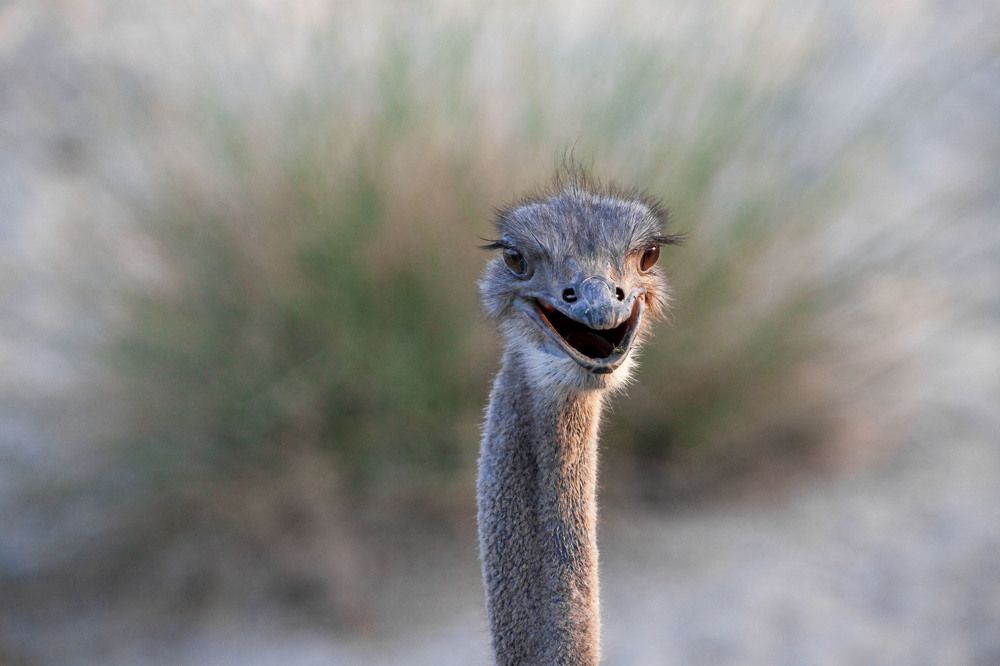 Photograph by Firas Abussaud