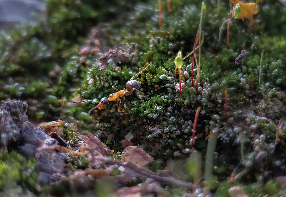 Photograph by Наталья Ким