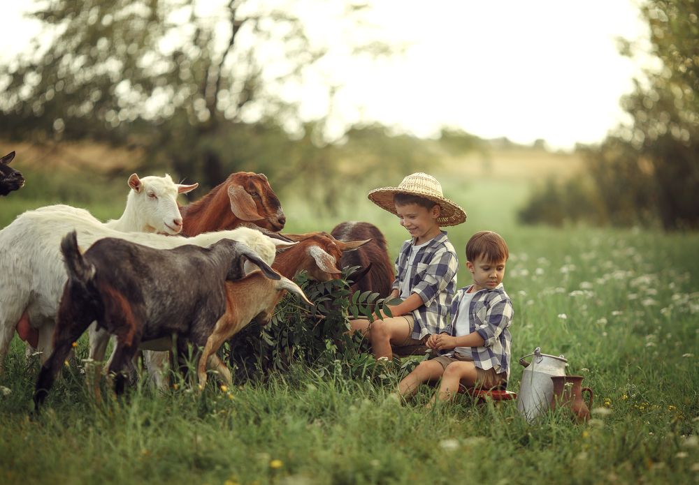 Photograph by Екатерина Кланцатая