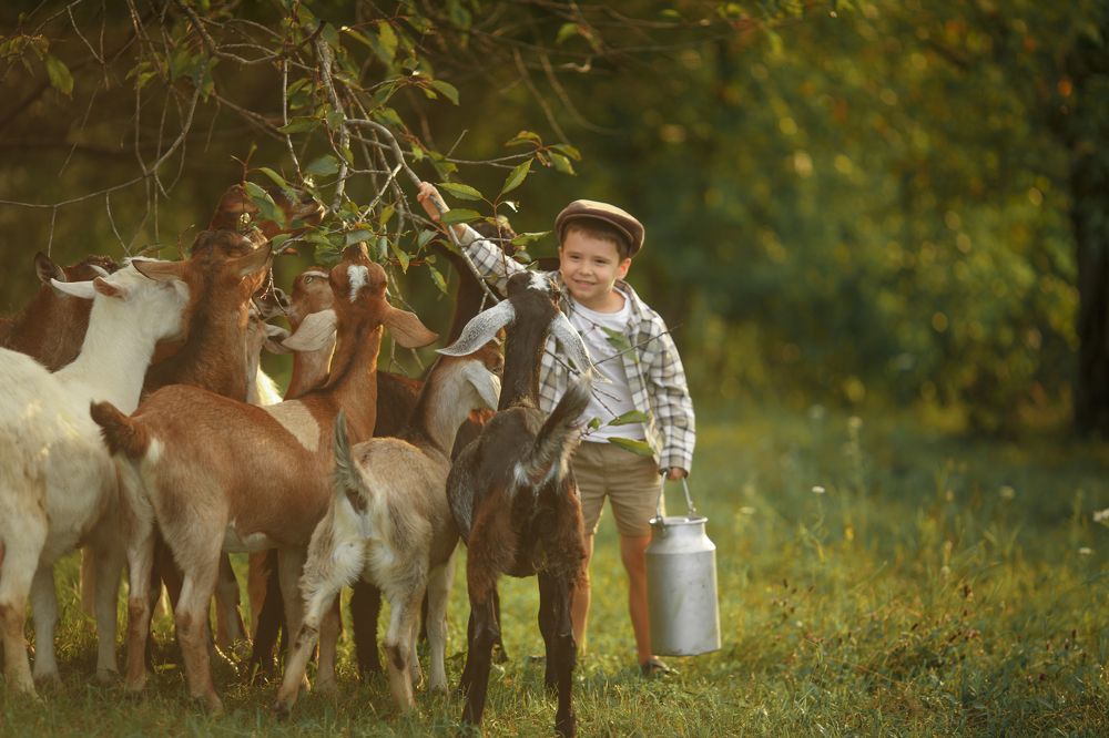 Photograph by Екатерина Кланцатая