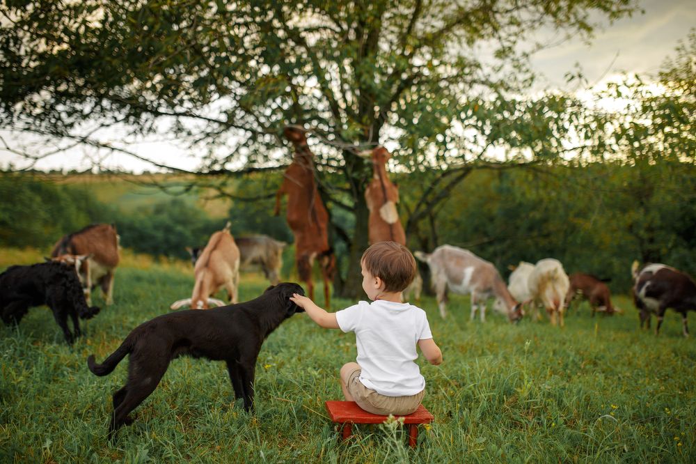 Photograph by Екатерина Кланцатая