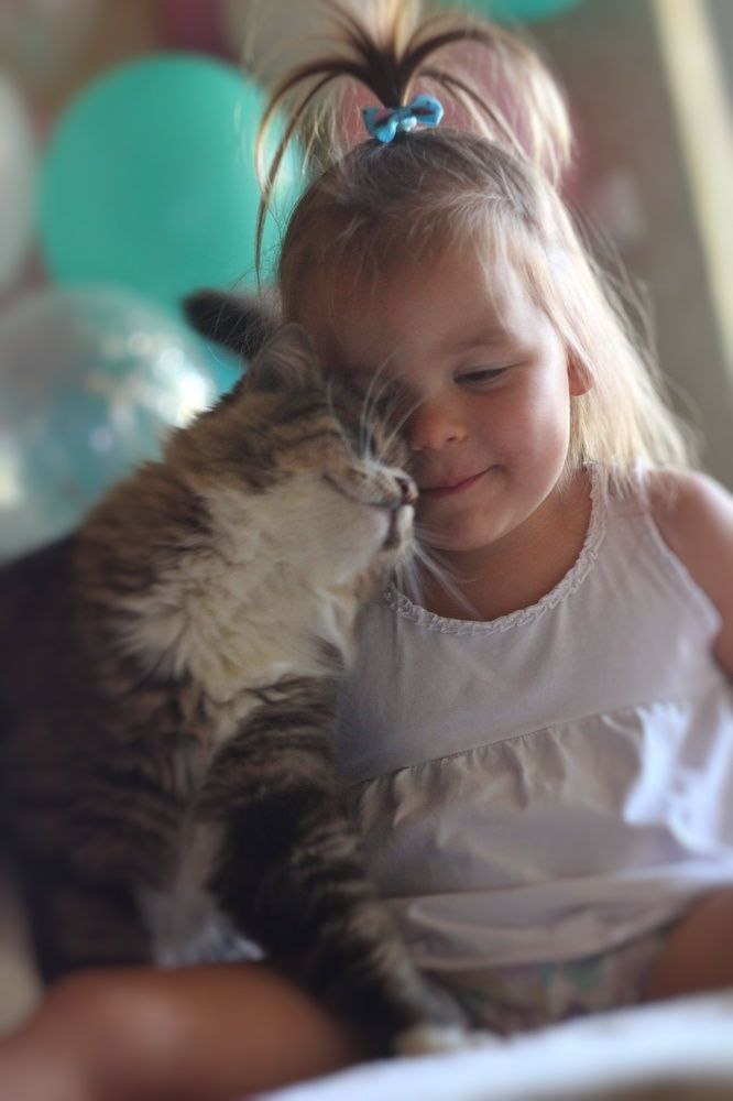 Photograph by Евгения Уманец