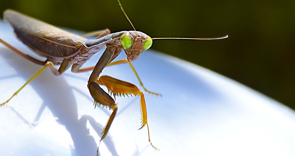 Photograph by Алексей Парамонов