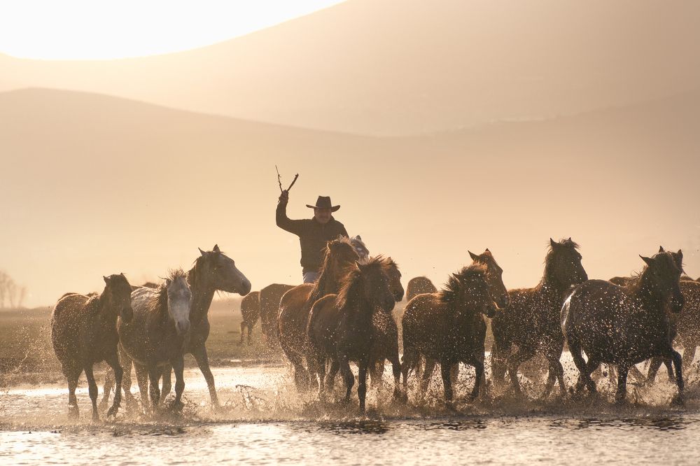 Photograph by Мария Григорьева