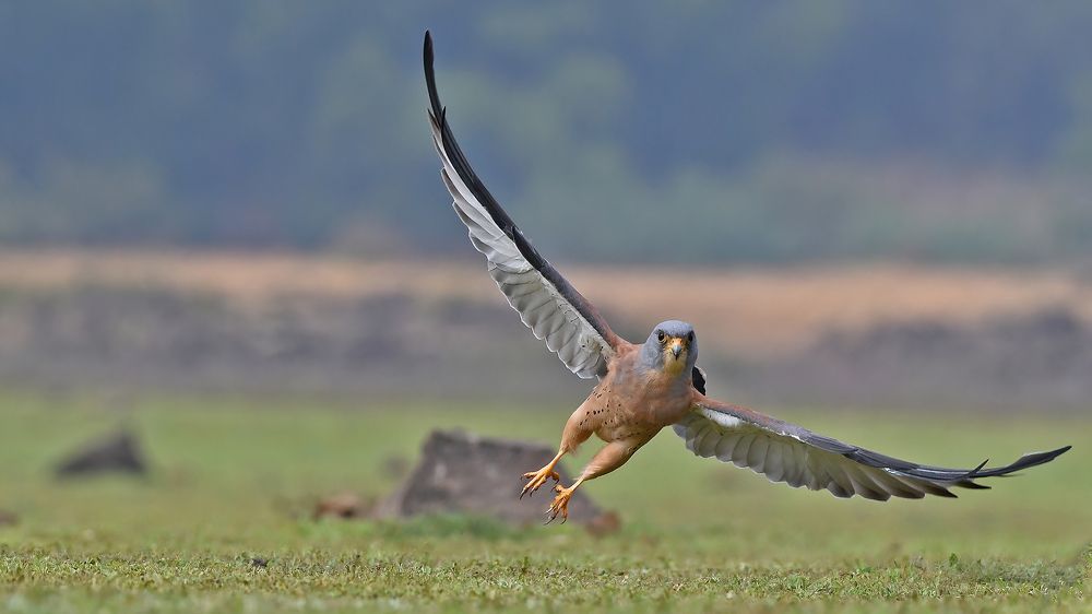 Photograph by Abhijeet Phalsankar