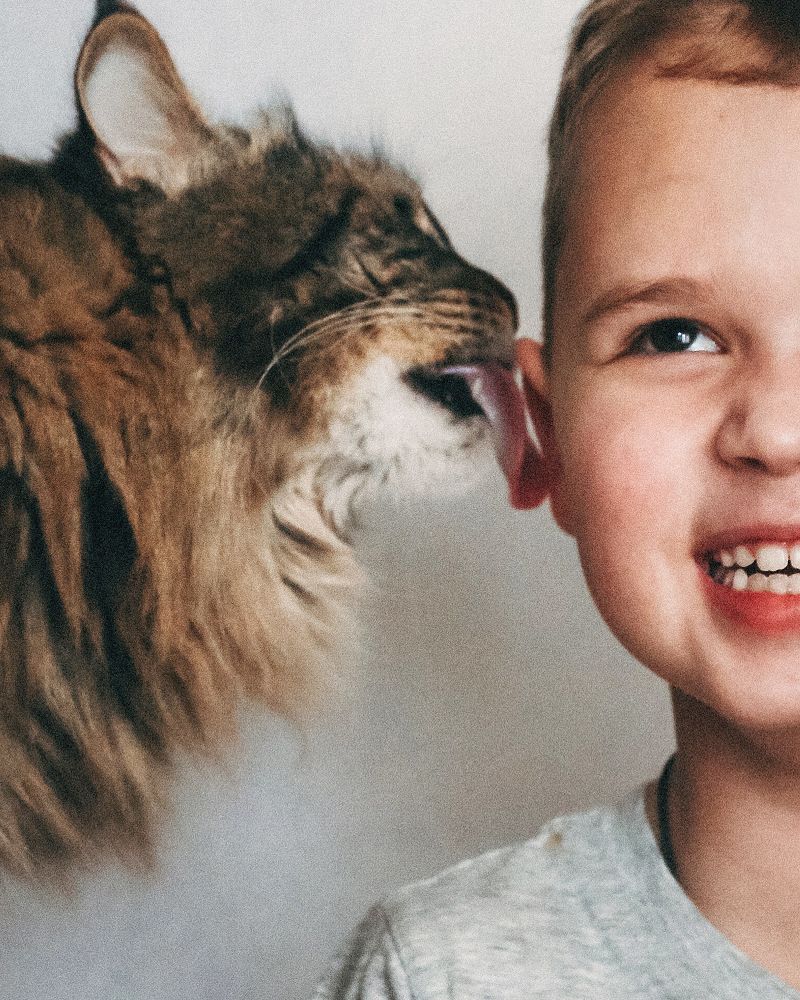 Photograph by Natalia Ushakova