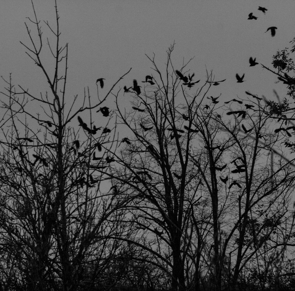 Фотография автора sose