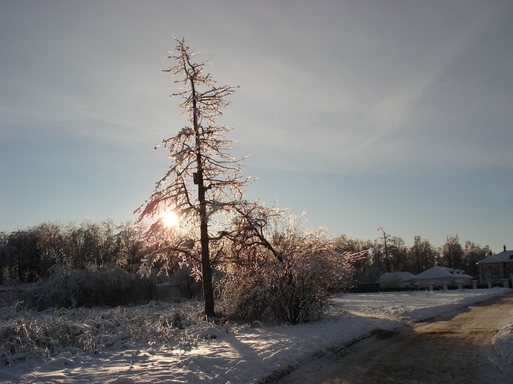 Photo #6498324