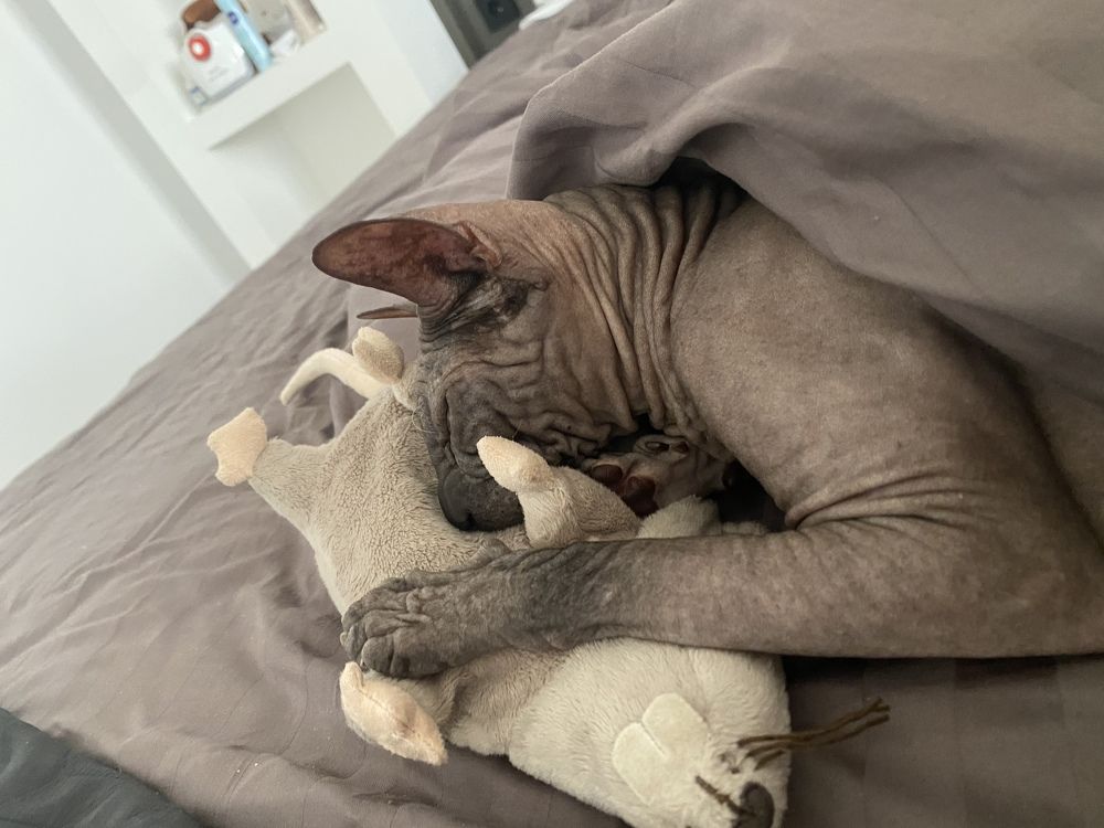 Photograph by Алсу Юсупова