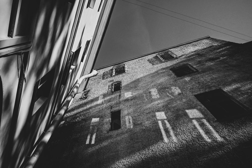 Фотография автора Larisa Meshkova