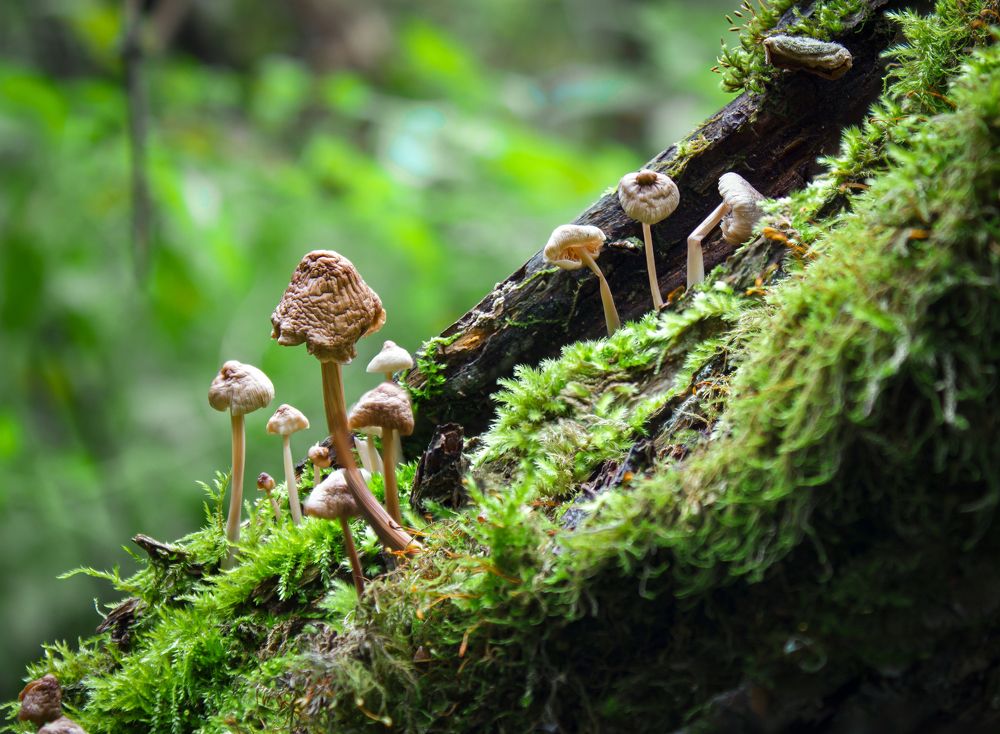 Photograph by Михаил Кудрин