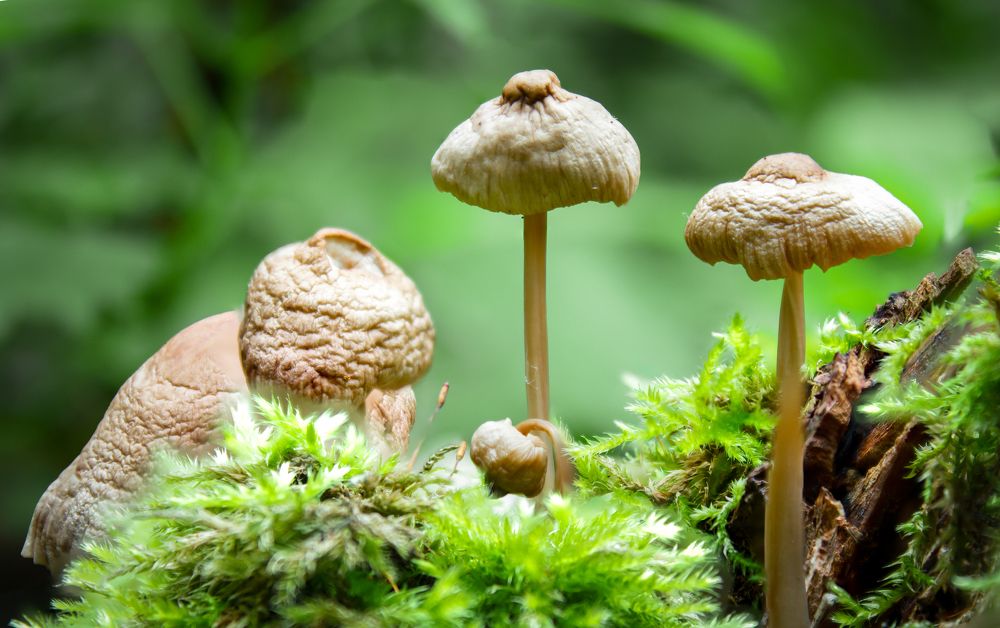 Photograph by Михаил Кудрин