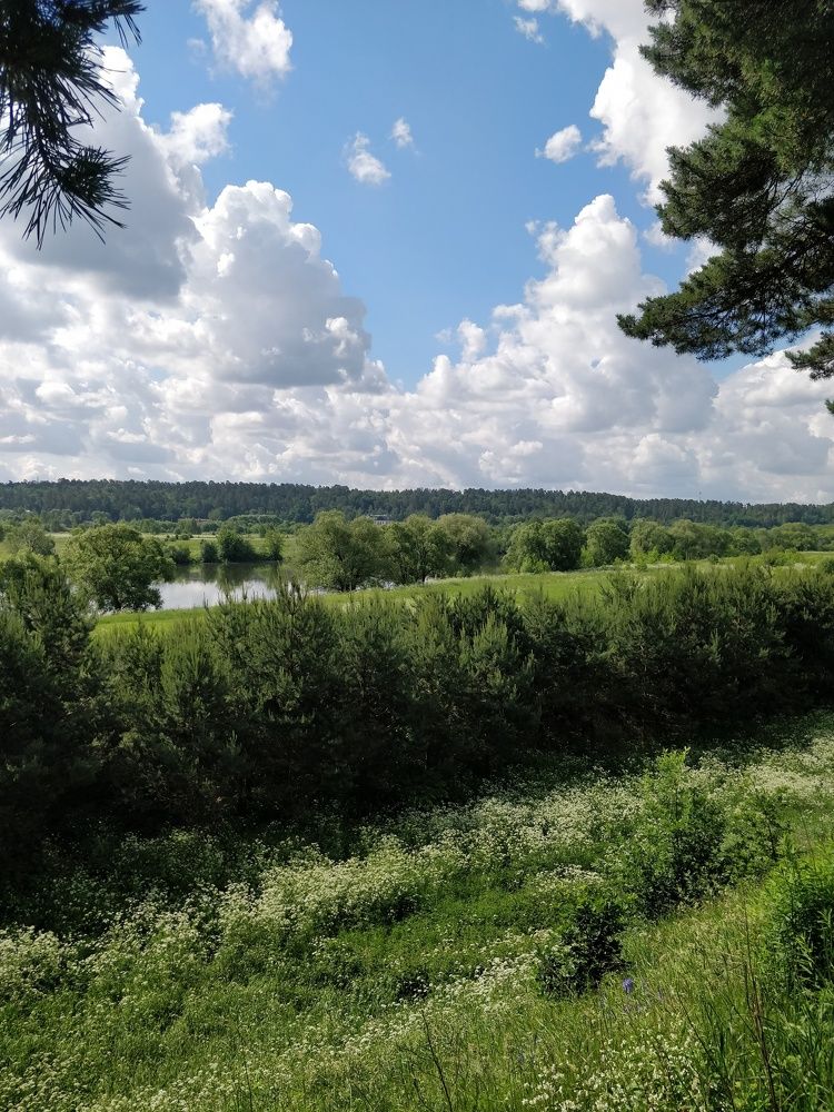 Photograph by Татьяна Тихонова