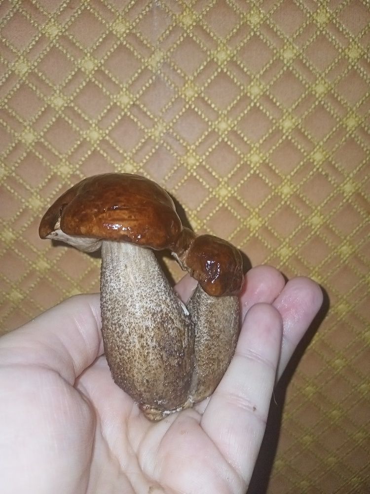 Photograph by Ира