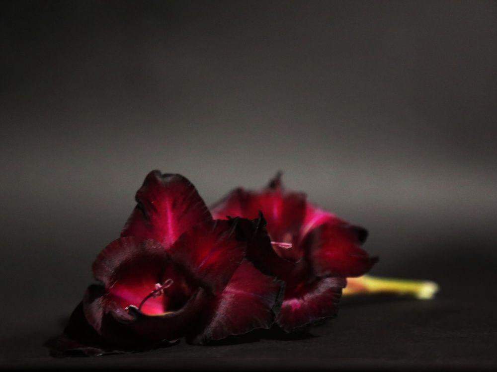 Photograph by Татьяна Мельникова