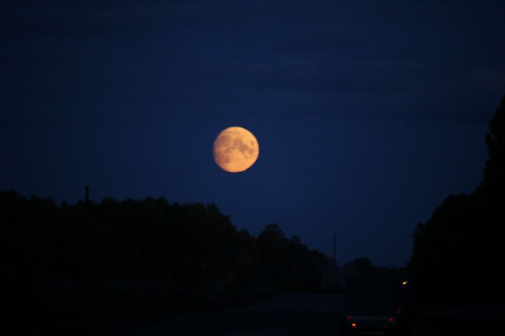 Photograph by Галина Мазур