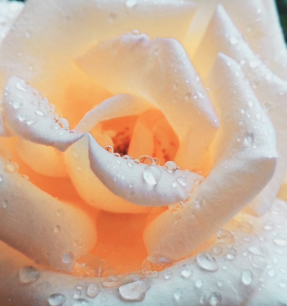 Photograph by Светлана Васина