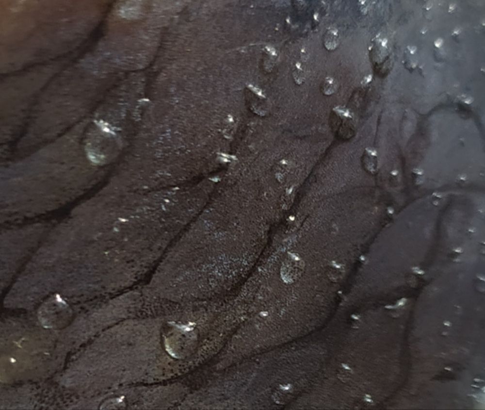 Photograph by Litvinova Ann