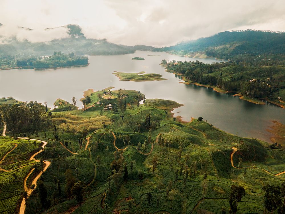 Photograph by Bathiya Dilshan