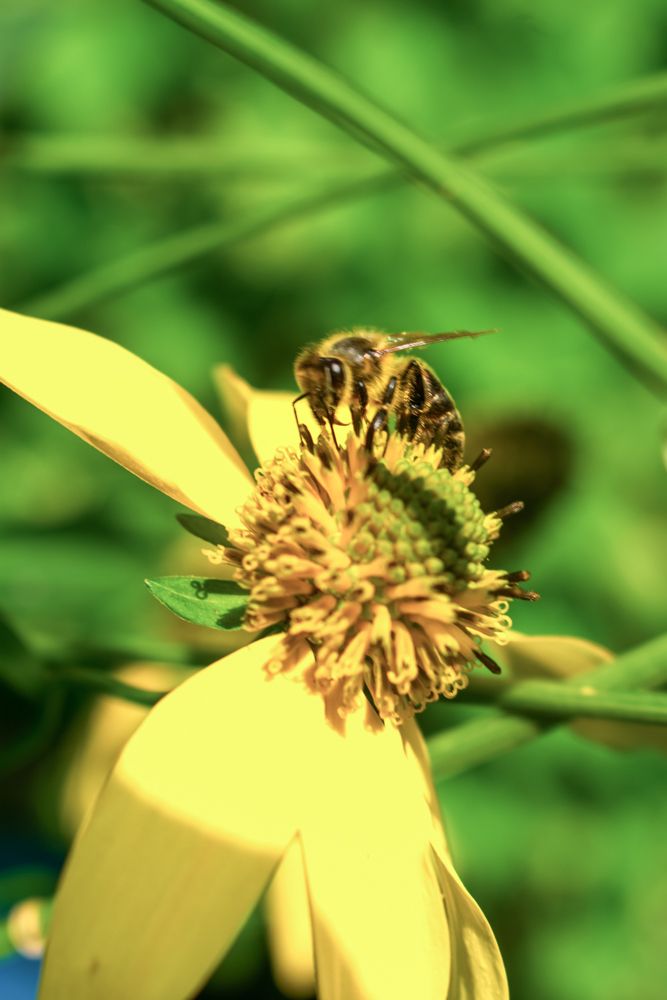 Photograph by Nikita Silyavin