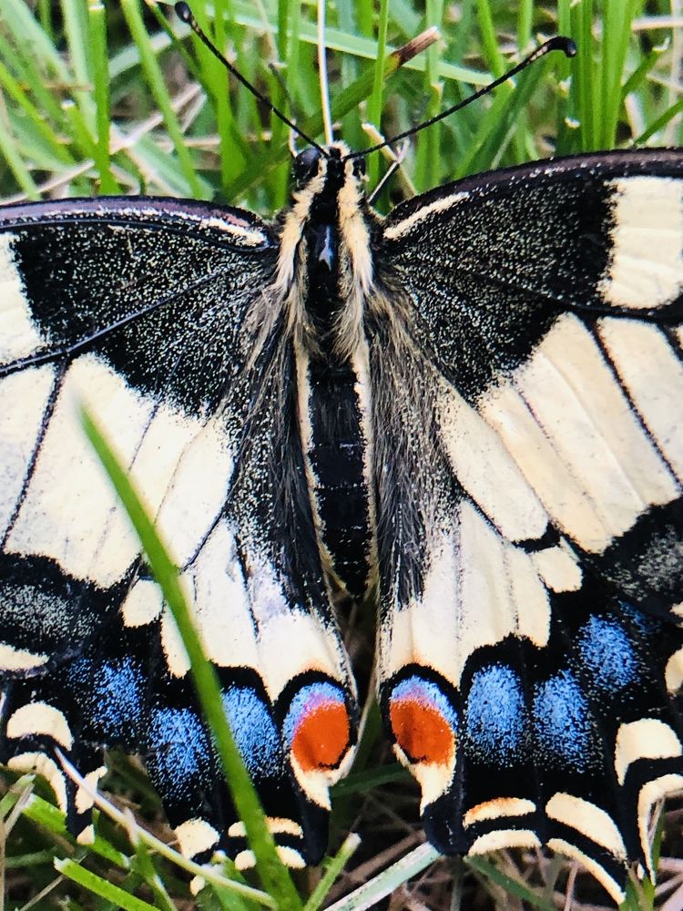 Photograph by Валерия Шишлова