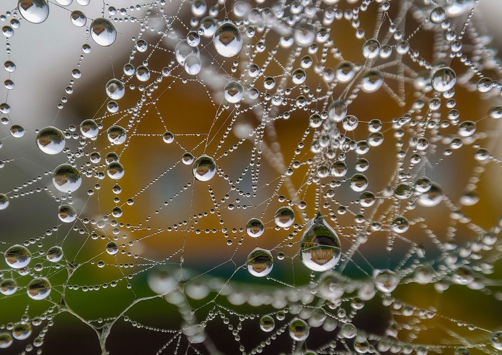 Photograph by Клещин Иван