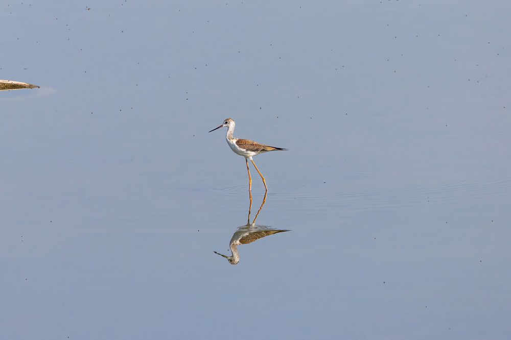 Photograph by Валентин Колинько