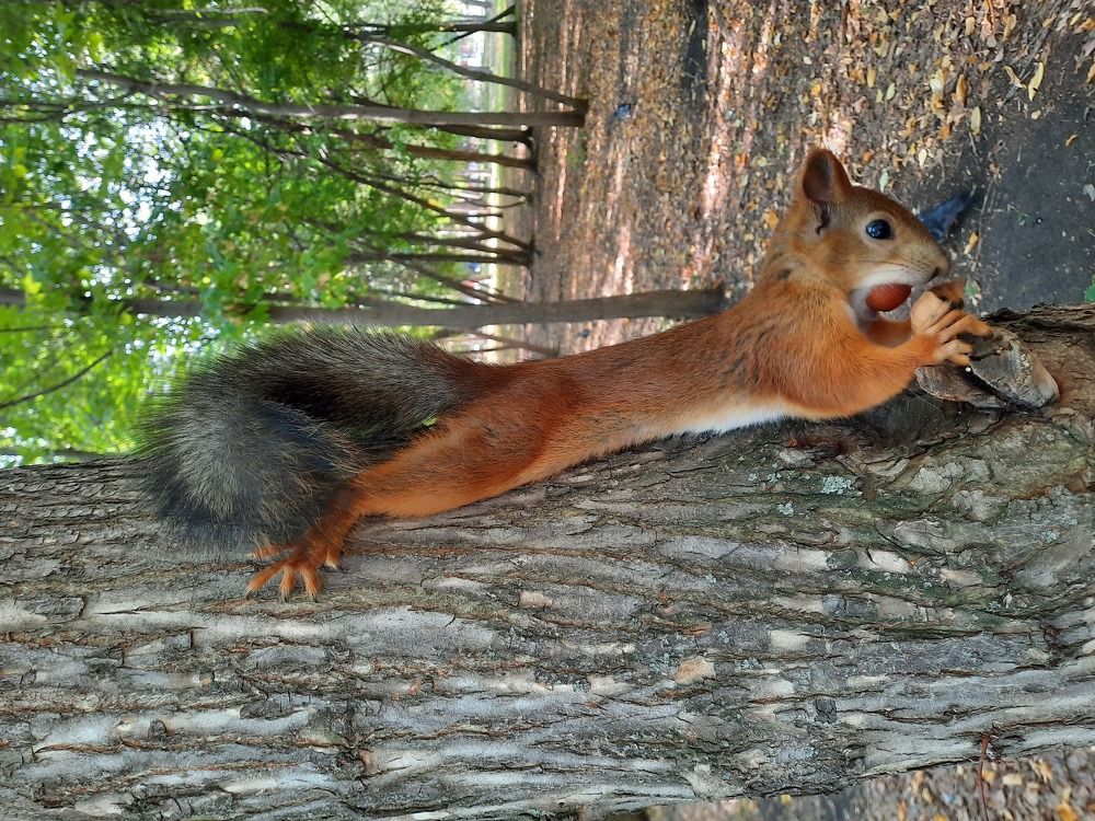 Photograph by Elena Khalizova