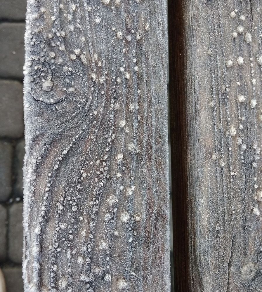 Photograph by Litvinova Ann