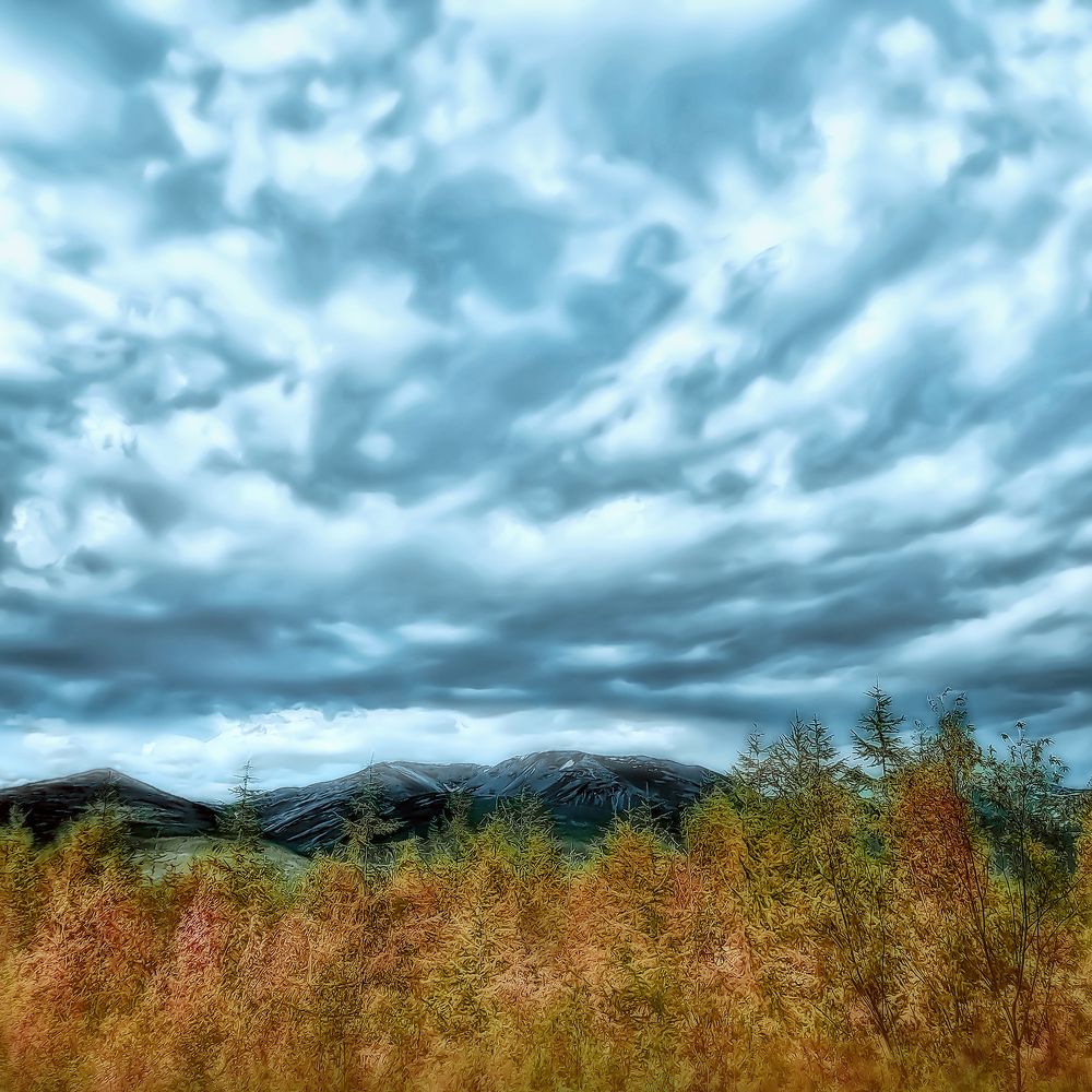 Photograph by Tatyana Romanova