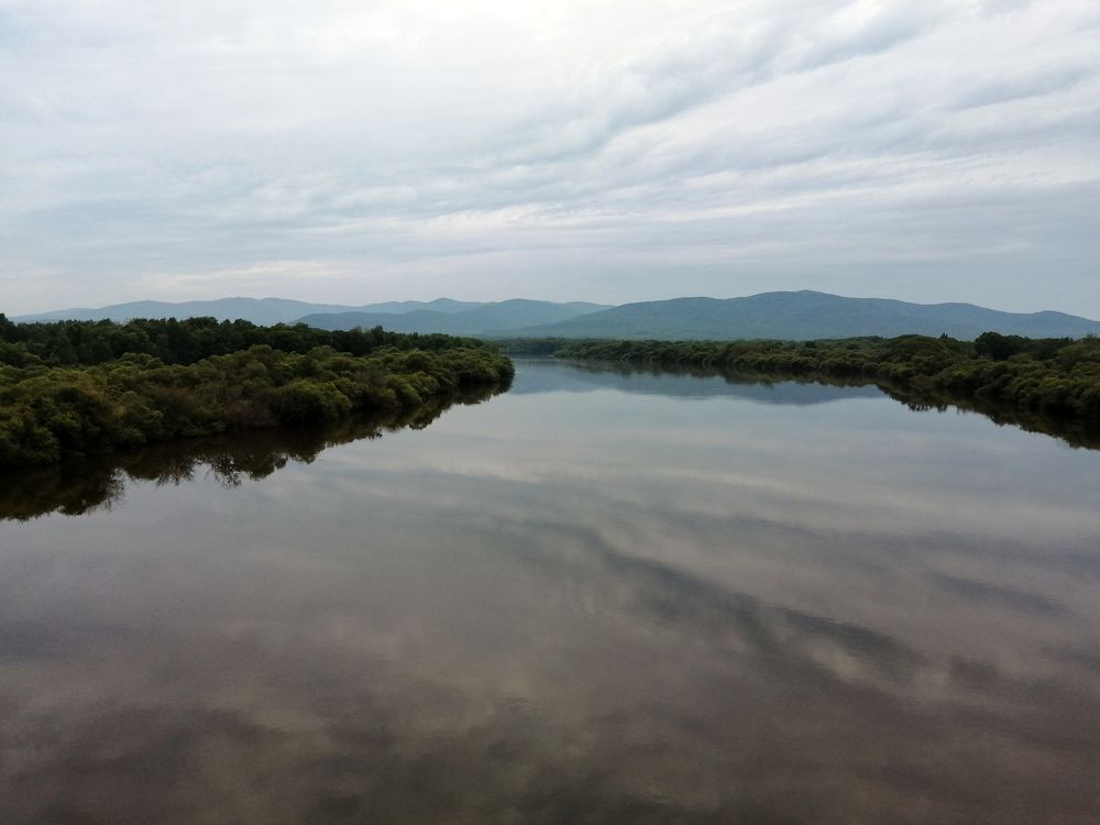 Впитавшая облака. Река Бира. Еврейский автономный округ.