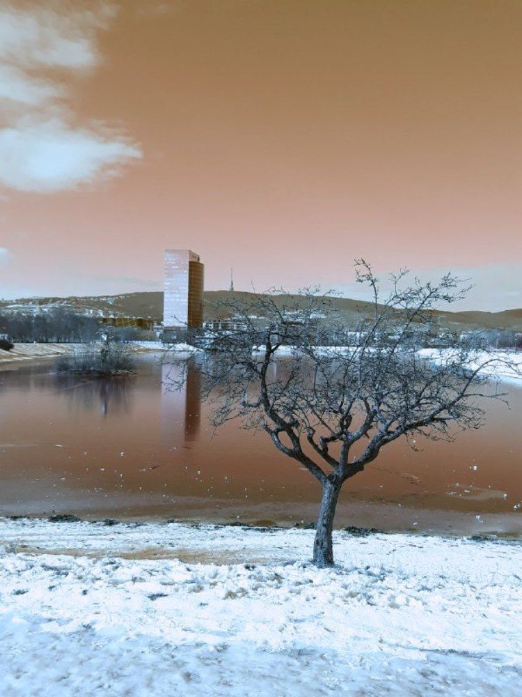 Photograph by Pavla Bondarenko