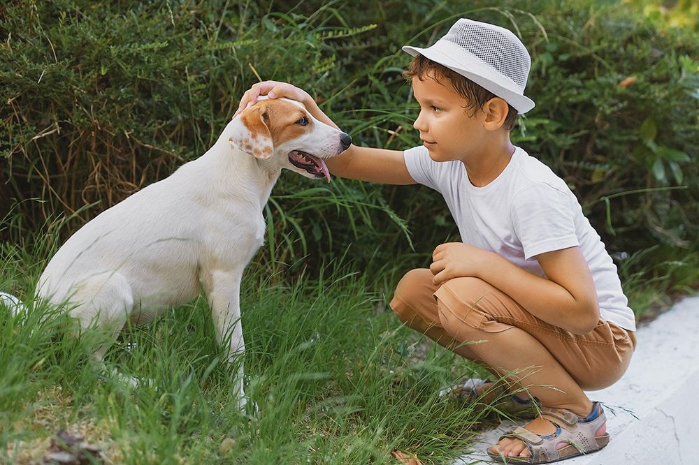 Photograph by Екатерина Рекина