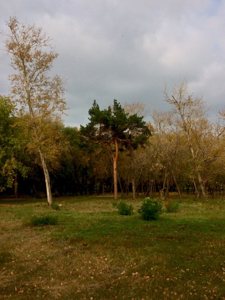 Photograph by Михаил Чмир