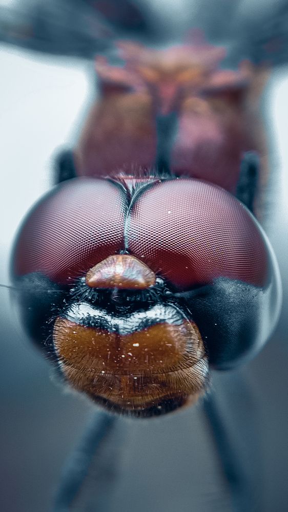 Photograph by Amit Bagde