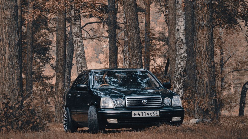 Photograph by Терентьев Георгий