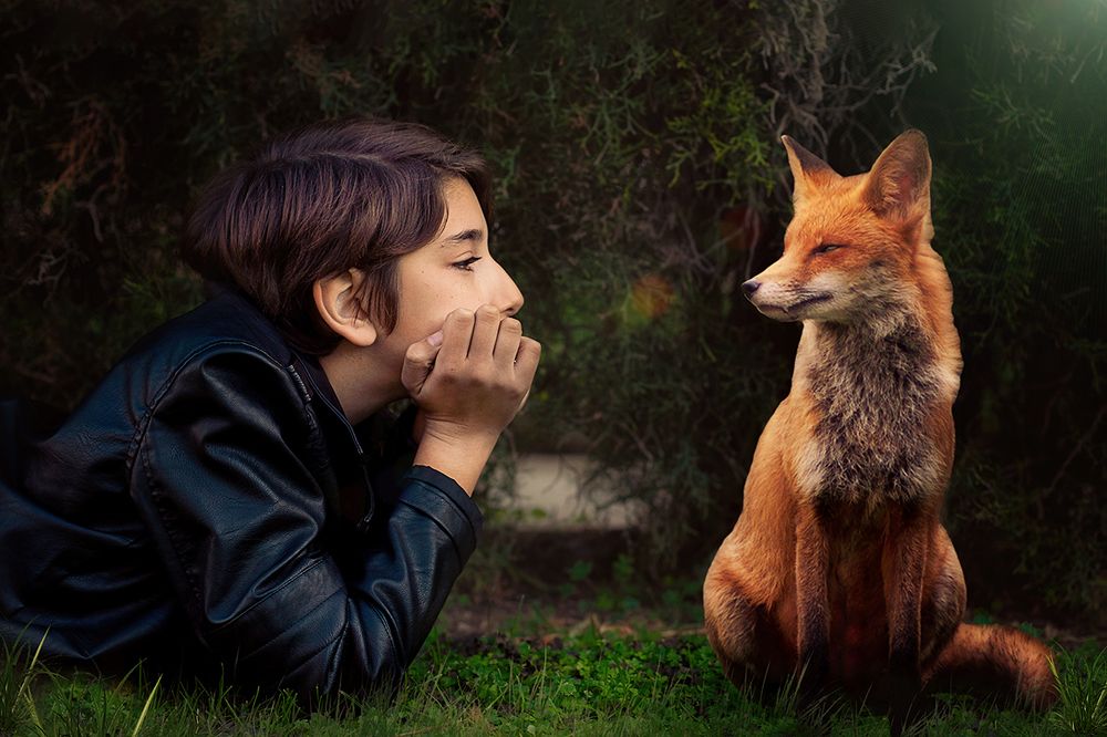 Photograph by Тина Ялова