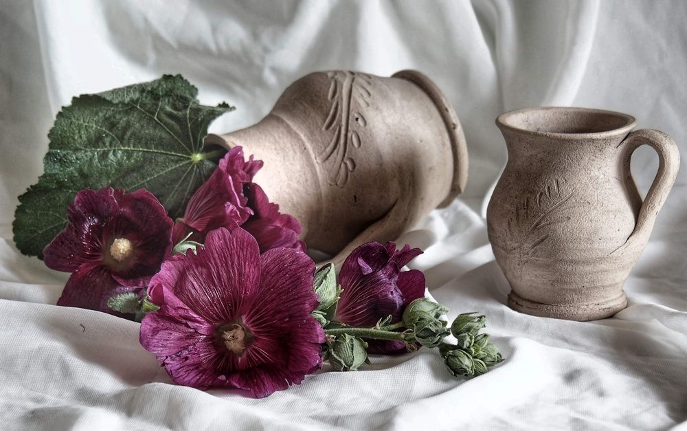 Photograph by Cornelia Ilie